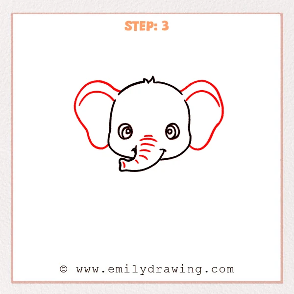how to draw a baby elephant - Step 3: Baby elephant head with large ears outlined and inner ear curves.